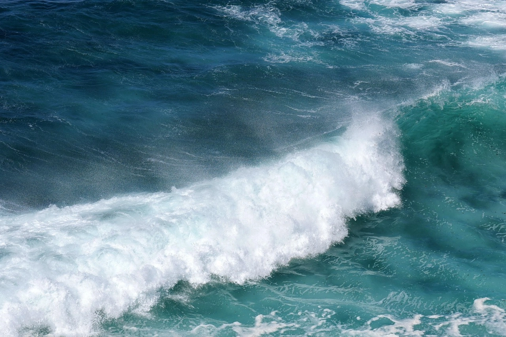 Banner Nodc